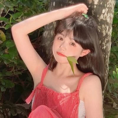 进击炮炮兵破解版下载